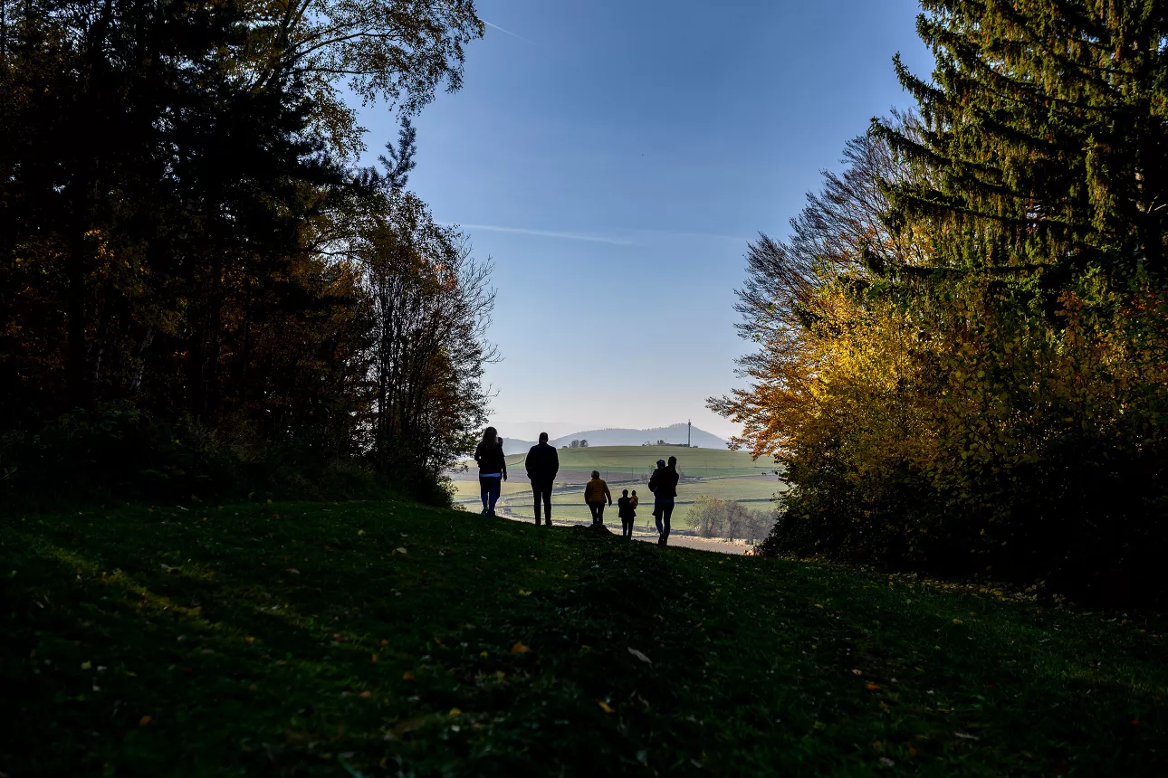 

<!-- THEME DEBUG -->
<!-- THEME HOOK: 'field' -->
<!-- FILE NAME SUGGESTIONS:
   ▪️ field--node--title--projekt.html.twig
   ✅ field--node--title.html.twig
   ▪️ field--node--projekt.html.twig
   ▪️ field--title.html.twig
   ▪️ field--string.html.twig
   ▪️ field.html.twig
-->
<!-- 💡 BEGIN CUSTOM TEMPLATE OUTPUT from 'themes/custom/oya/templates/field--node--title.html.twig' -->
Lechner
<!-- END CUSTOM TEMPLATE OUTPUT from 'themes/custom/oya/templates/field--node--title.html.twig' -->

