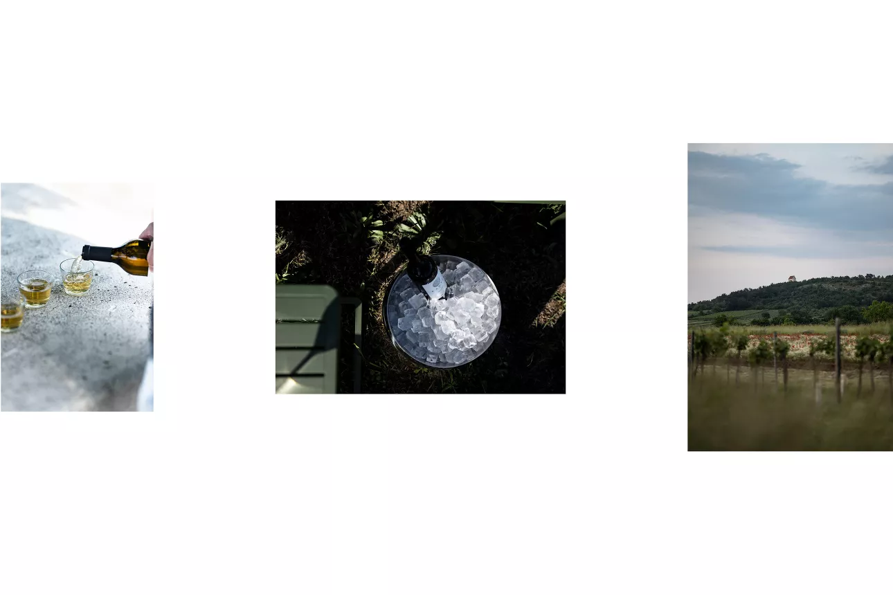 

<!-- THEME DEBUG -->
<!-- THEME HOOK: 'field' -->
<!-- FILE NAME SUGGESTIONS:
   ▪️ field--node--title--projekt.html.twig
   ✅ field--node--title.html.twig
   ▪️ field--node--projekt.html.twig
   ▪️ field--title.html.twig
   ▪️ field--string.html.twig
   ▪️ field.html.twig
-->
<!-- 💡 BEGIN CUSTOM TEMPLATE OUTPUT from 'themes/custom/oya/templates/field--node--title.html.twig' -->
Sadje
<!-- END CUSTOM TEMPLATE OUTPUT from 'themes/custom/oya/templates/field--node--title.html.twig' -->

