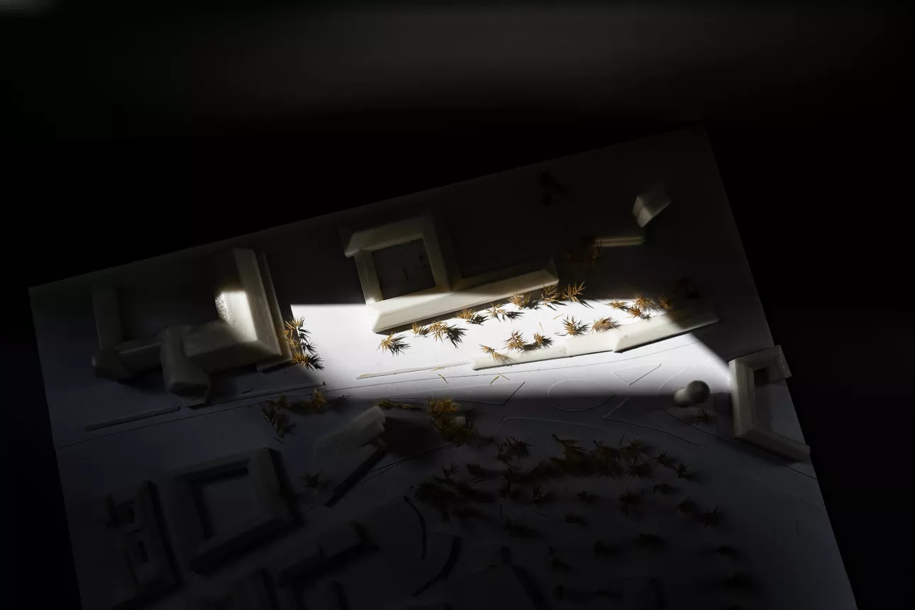 

<!-- THEME DEBUG -->
<!-- THEME HOOK: 'field' -->
<!-- FILE NAME SUGGESTIONS:
   ▪️ field--node--title--projekt.html.twig
   ✅ field--node--title.html.twig
   ▪️ field--node--projekt.html.twig
   ▪️ field--title.html.twig
   ▪️ field--string.html.twig
   ▪️ field.html.twig
-->
<!-- 💡 BEGIN CUSTOM TEMPLATE OUTPUT from 'themes/custom/oya/templates/field--node--title.html.twig' -->
Ebner
<!-- END CUSTOM TEMPLATE OUTPUT from 'themes/custom/oya/templates/field--node--title.html.twig' -->

