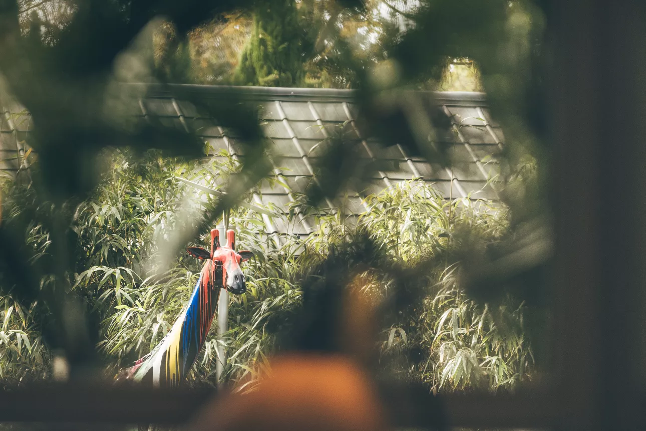 

<!-- THEME DEBUG -->
<!-- THEME HOOK: 'field' -->
<!-- FILE NAME SUGGESTIONS:
   ▪️ field--node--title--projekt.html.twig
   ✅ field--node--title.html.twig
   ▪️ field--node--projekt.html.twig
   ▪️ field--title.html.twig
   ▪️ field--string.html.twig
   ▪️ field.html.twig
-->
<!-- 💡 BEGIN CUSTOM TEMPLATE OUTPUT from 'themes/custom/oya/templates/field--node--title.html.twig' -->
Das Esel
<!-- END CUSTOM TEMPLATE OUTPUT from 'themes/custom/oya/templates/field--node--title.html.twig' -->

